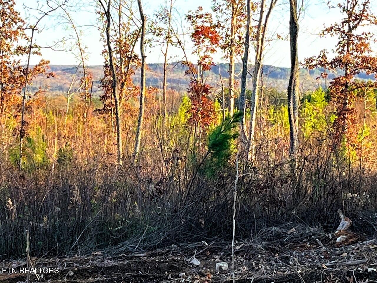 Ten Euchee Road Ten Mile, TN 37880 - Photo 21 of 24 Views from the homesite