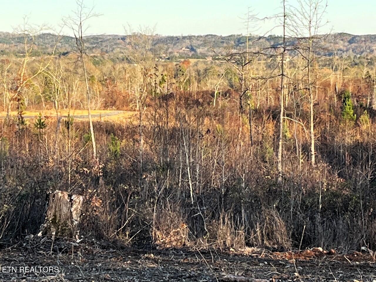 Ten Euchee Road Ten Mile, TN 37880 - Photo 22 of 24 Euchee b homesite view from c