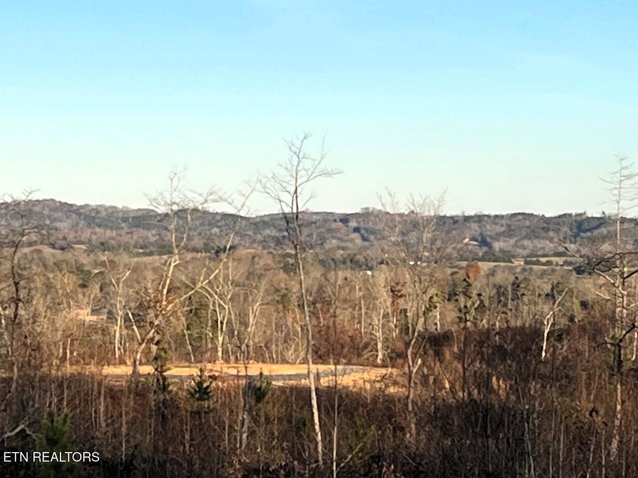 Ten Euchee Road Ten Mile, TN 37880 - Photo 23 of 24 Homesite