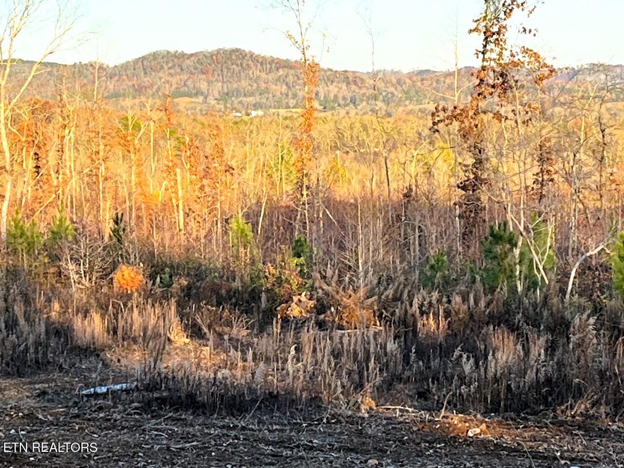 Ten Euchee Road Ten Mile, TN 37880 - Photo 24 of 24 Views from the homesite