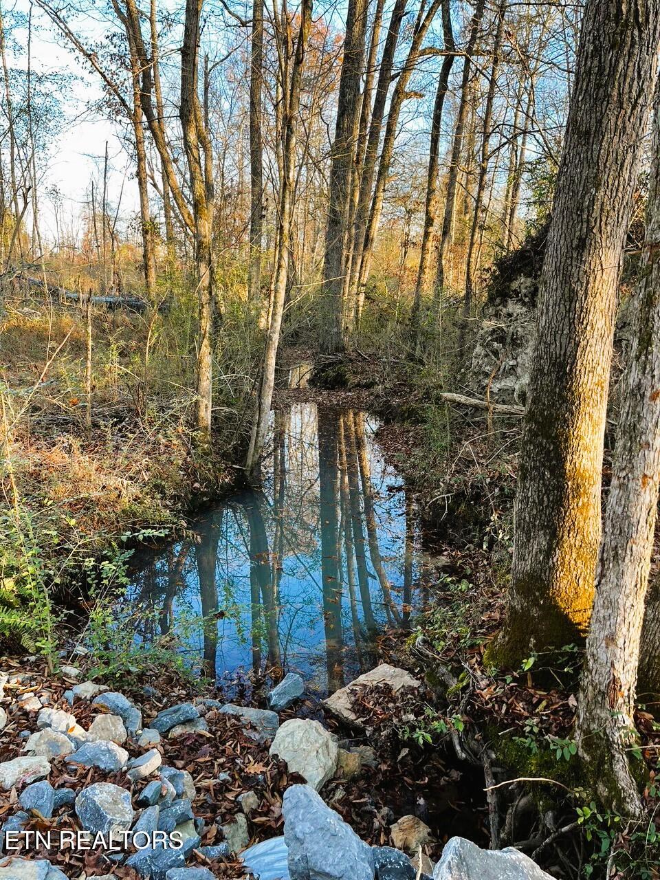 Creek
