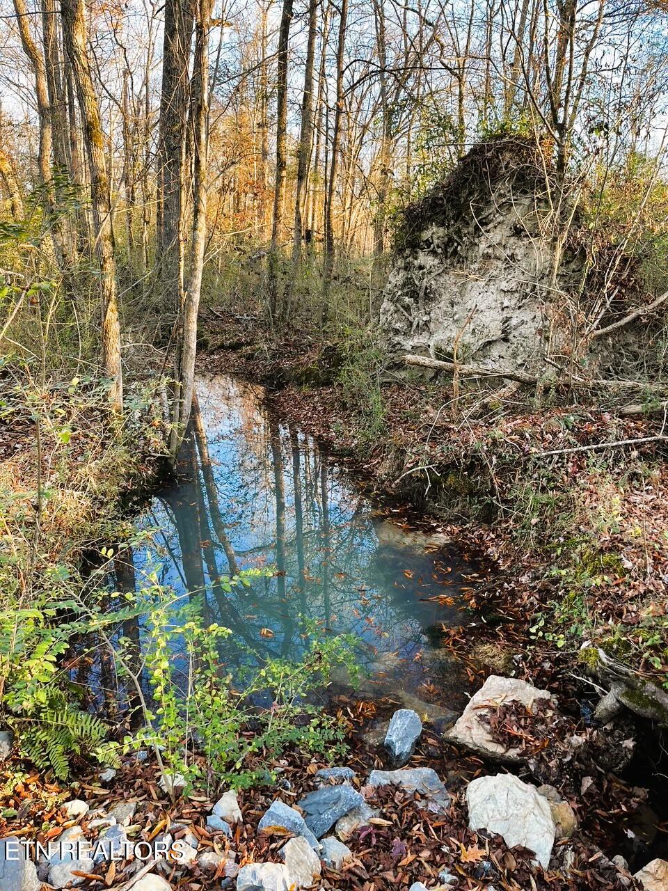 Creek