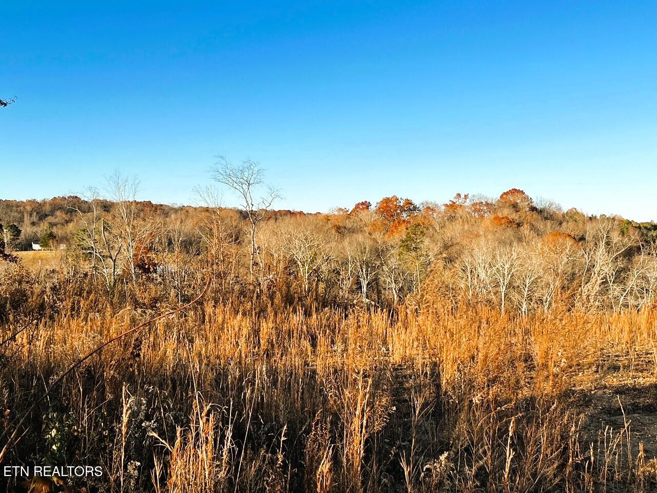 Ten Euchee Road Ten Mile, TN 37880 - Photo 10 of 24 Homesite 2 views