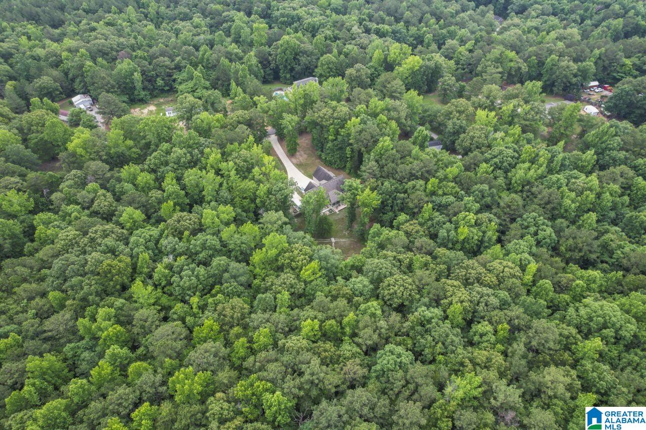3085 McClendon Chapel Road Bessemer, AL 35022 - Photo 34 of 37