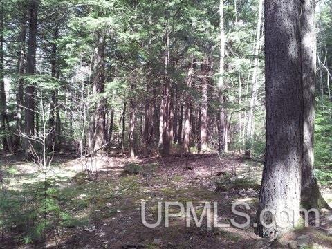 Tbd Tbd Nee Jee Road Negaunee, MI 49866 - Photo 1 of 1
