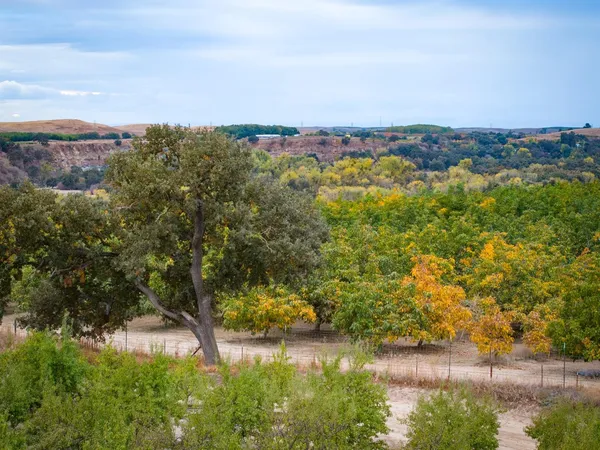 a view of a lake with a city