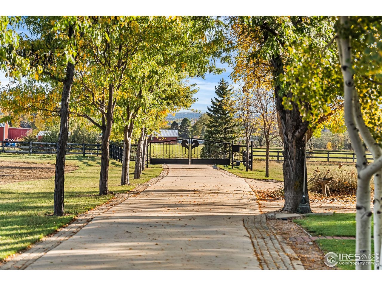 a view of outdoor space with garden