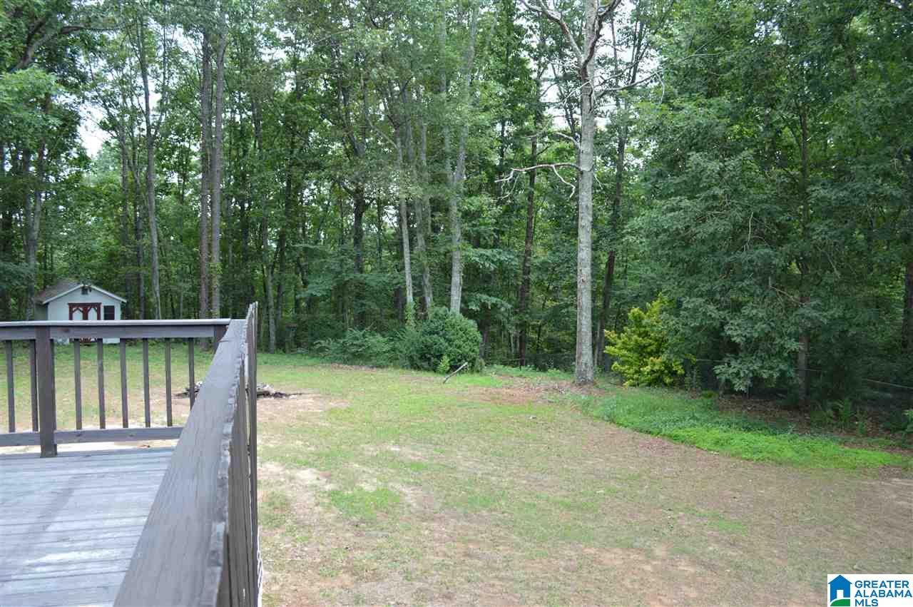 7460 Roper Tunnel Road Trussville, AL 35173 - Photo 43 of 50