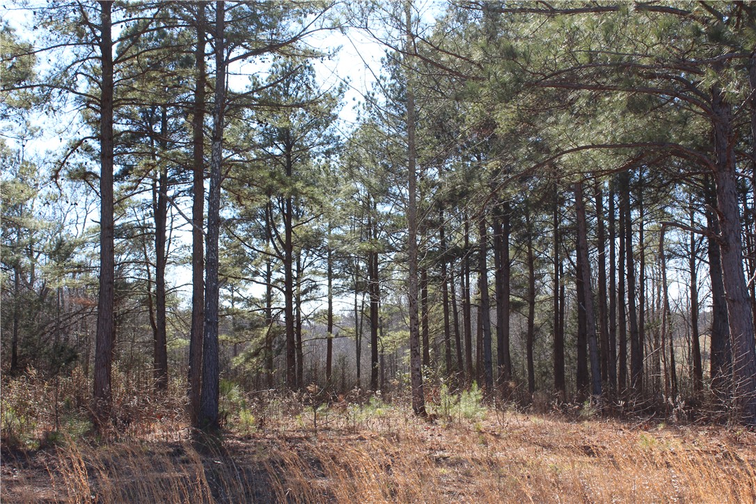 0 Good Hope Church Road Starr, SC 29684 - Photo 2 of 3
