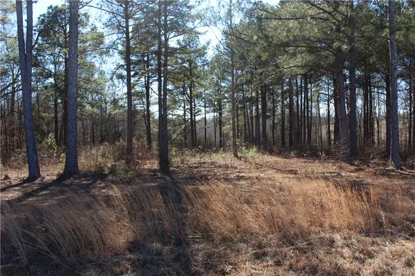 $85,900 | 0 Good Hope Church Road, Starr, SC 29684