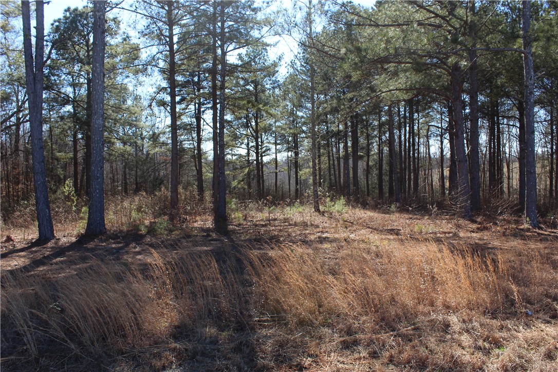 0 Good Hope Church Road Starr, SC 29684 - Photo 3 of 3