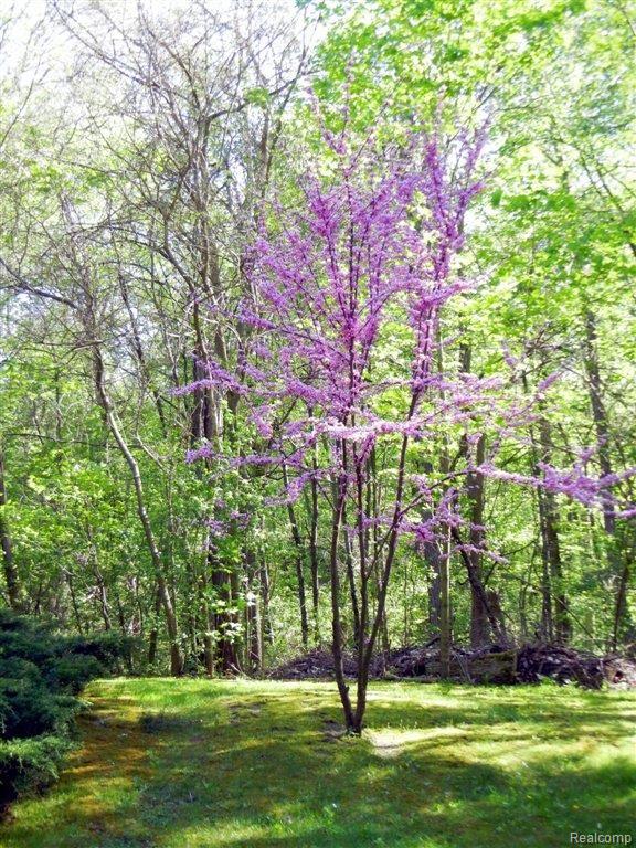 8740 Clement Road Clarkston, MI 48346 - Photo 25 of 27 Lovely Landscaping