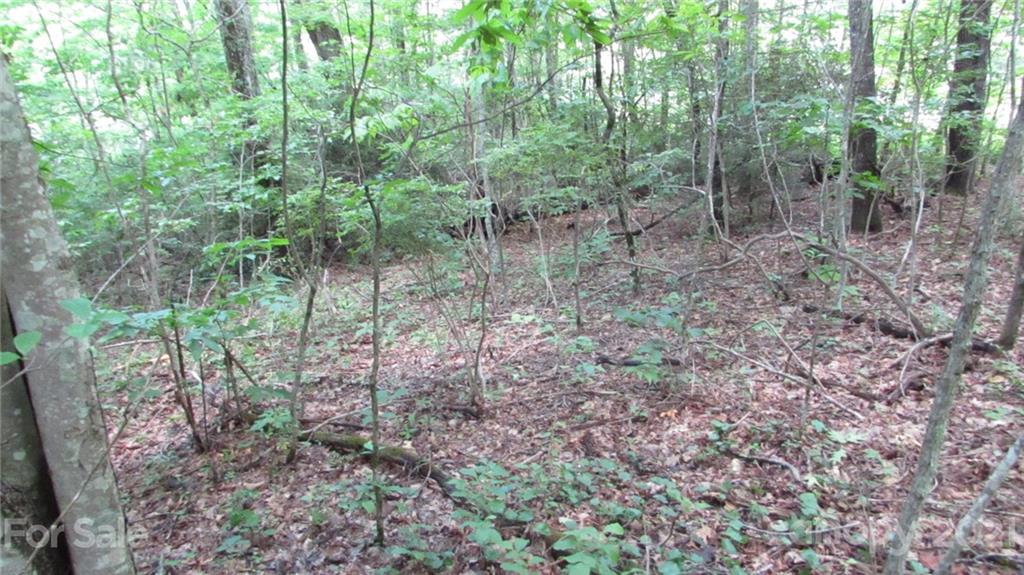 0 Trails End Road, Unit 27 Spruce Pine, NC 28777 - Photo 3 of 31 Gallery Image 3