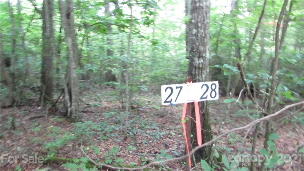 0 Trails End Road, Unit 27 Spruce Pine, NC 28777 - Photo 4 of 31 Gallery Image 4