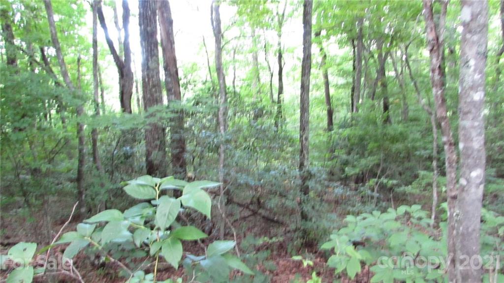 0 Trails End Road, Unit 27 Spruce Pine, NC 28777 - Photo 5 of 31 Gallery Image 5