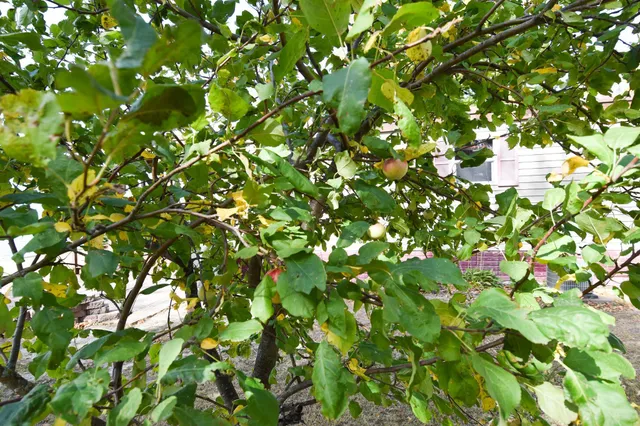 $348,000 | 33806 220th Street, Mahnomen, MN 56557