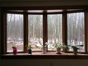 239 Horse Corner Road Chichester, NH 03258 - Photo 9 of 40 Gallery Image 9