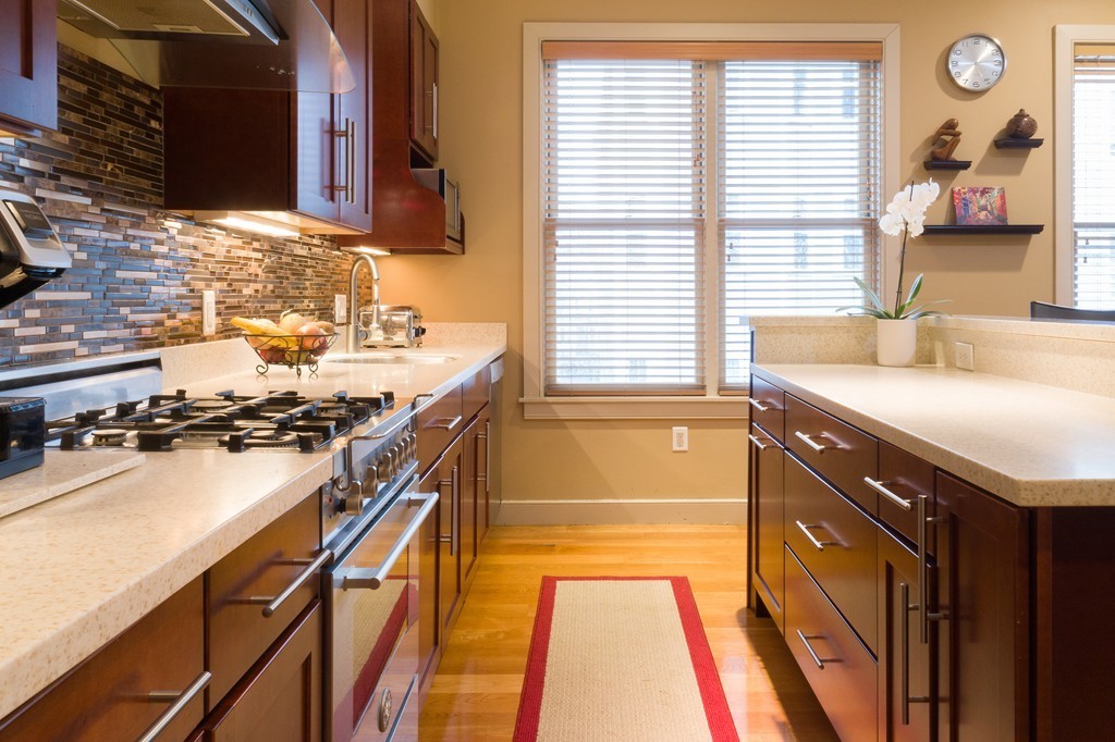 45 Vinton Street, Unit 1 Boston, MA 02127 - Photo 4 of 17