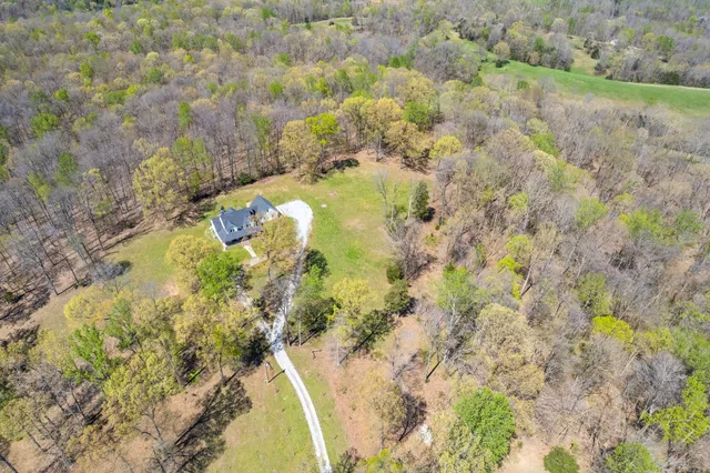 a close up of a plant