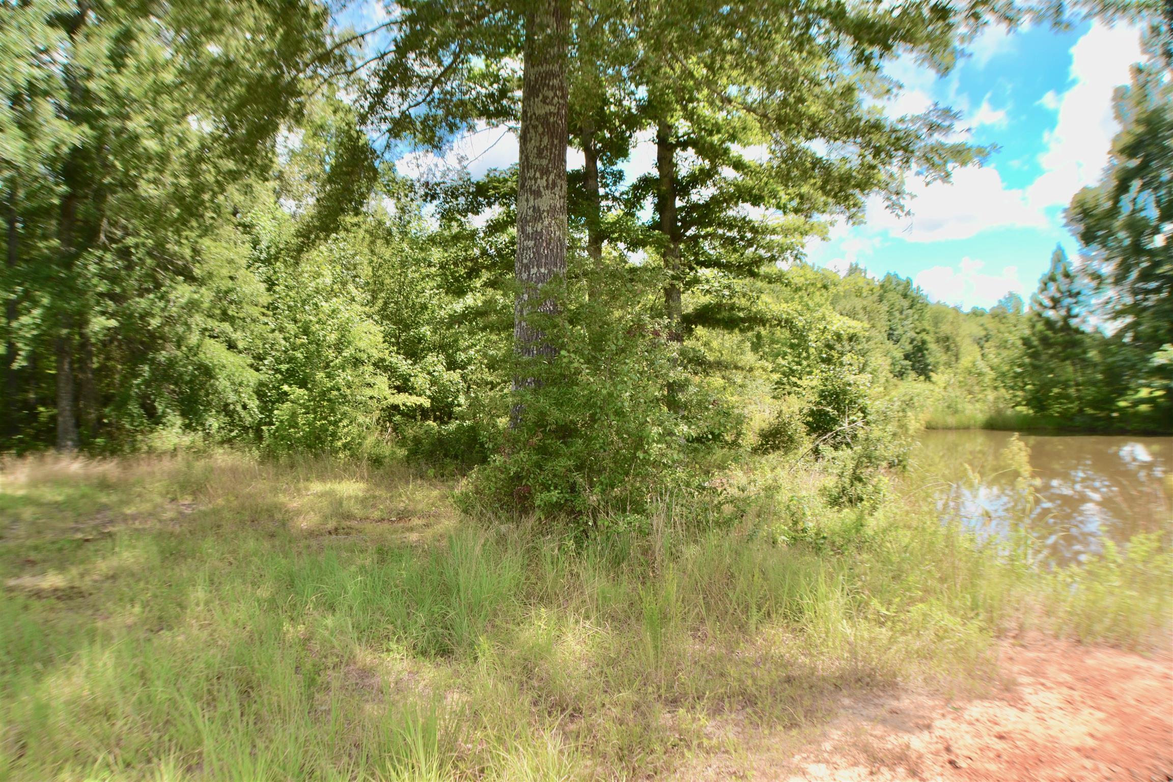 4985 Jacobs Pillar Road Smithville, TN 37166 - Photo 20 of 24 Gallery Image 20