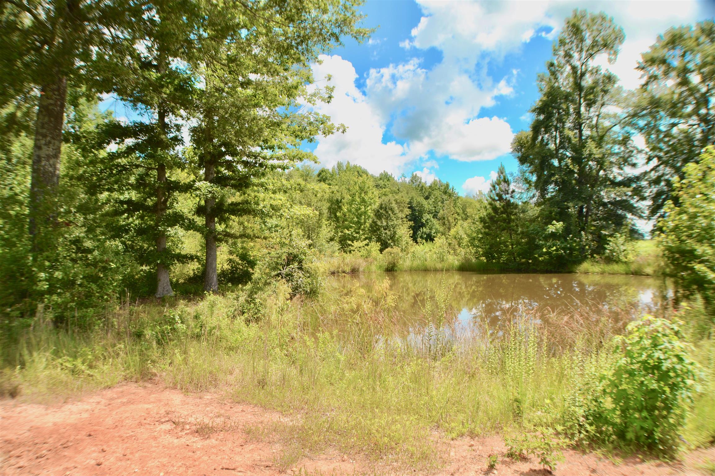 4985 Jacobs Pillar Road Smithville, TN 37166 - Photo 21 of 24 Gallery Image 21