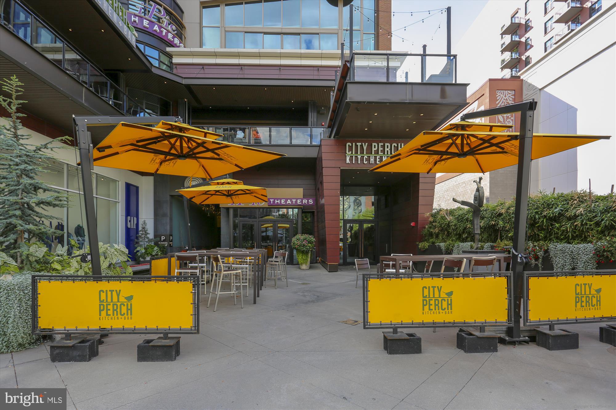 11710 Old Georgetown Road, Unit 1503 North Bethesda, MD 20852 - Photo 48 of 72 Ipic and City Perch
