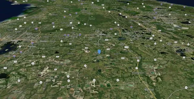 a view of a bunch of trees