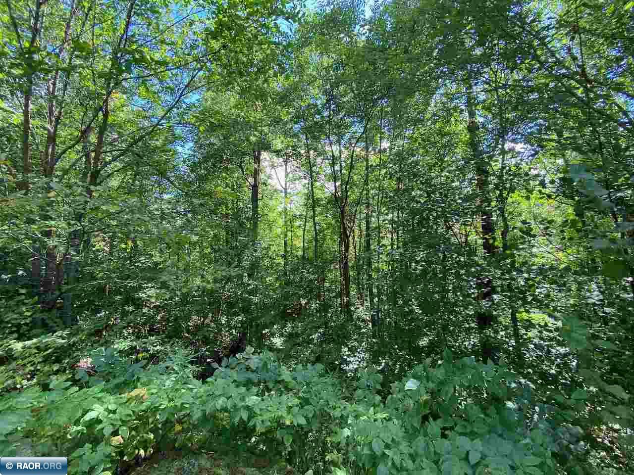 Tbd Lot 10 Wilderness Way Road Orr, MN 55771 - Photo 13 of 26 Gallery Image 13