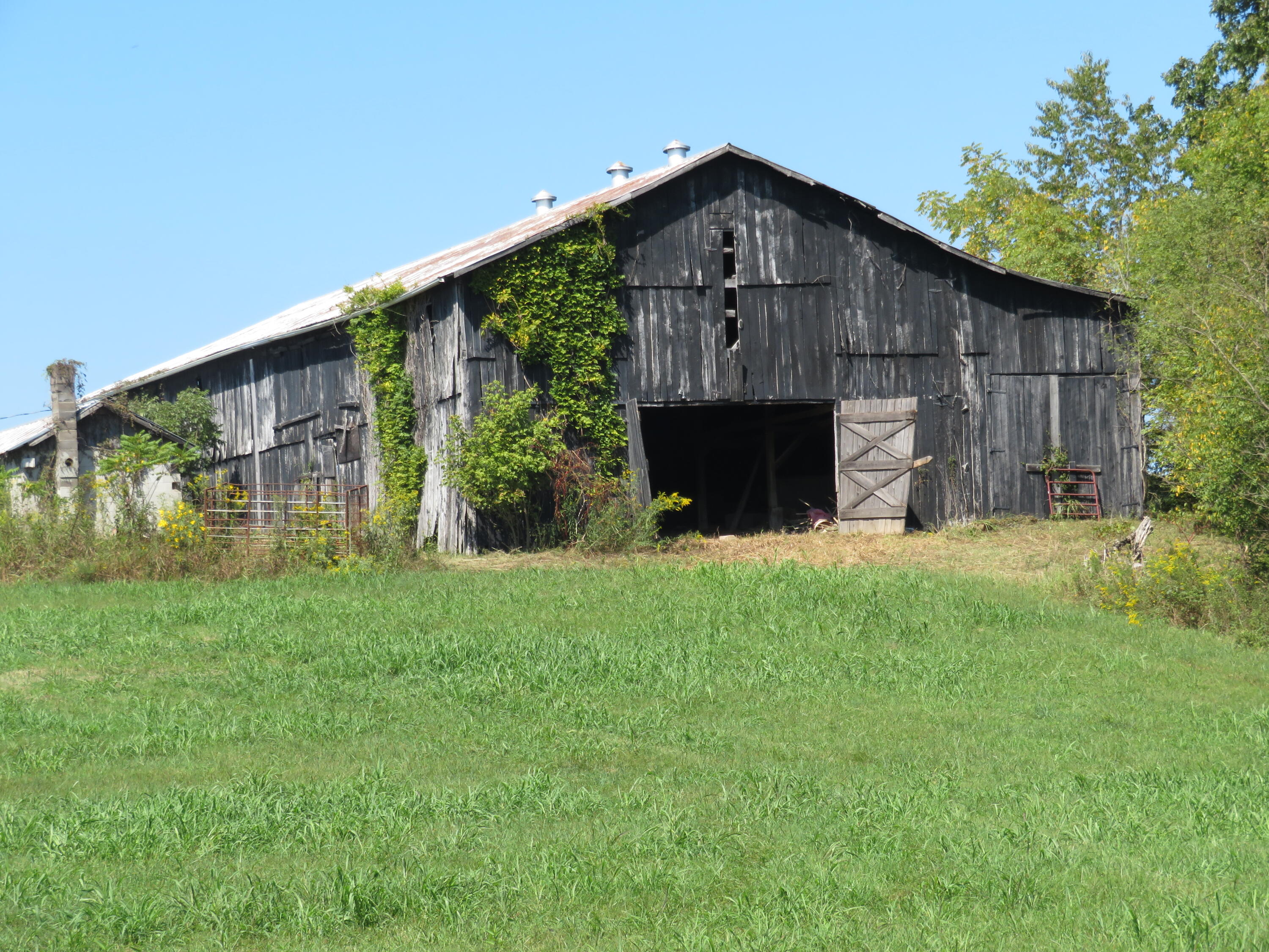 620 Lillies Ferry Road Winchester, KY 40391 - Photo 17 of 18 IMG_3022