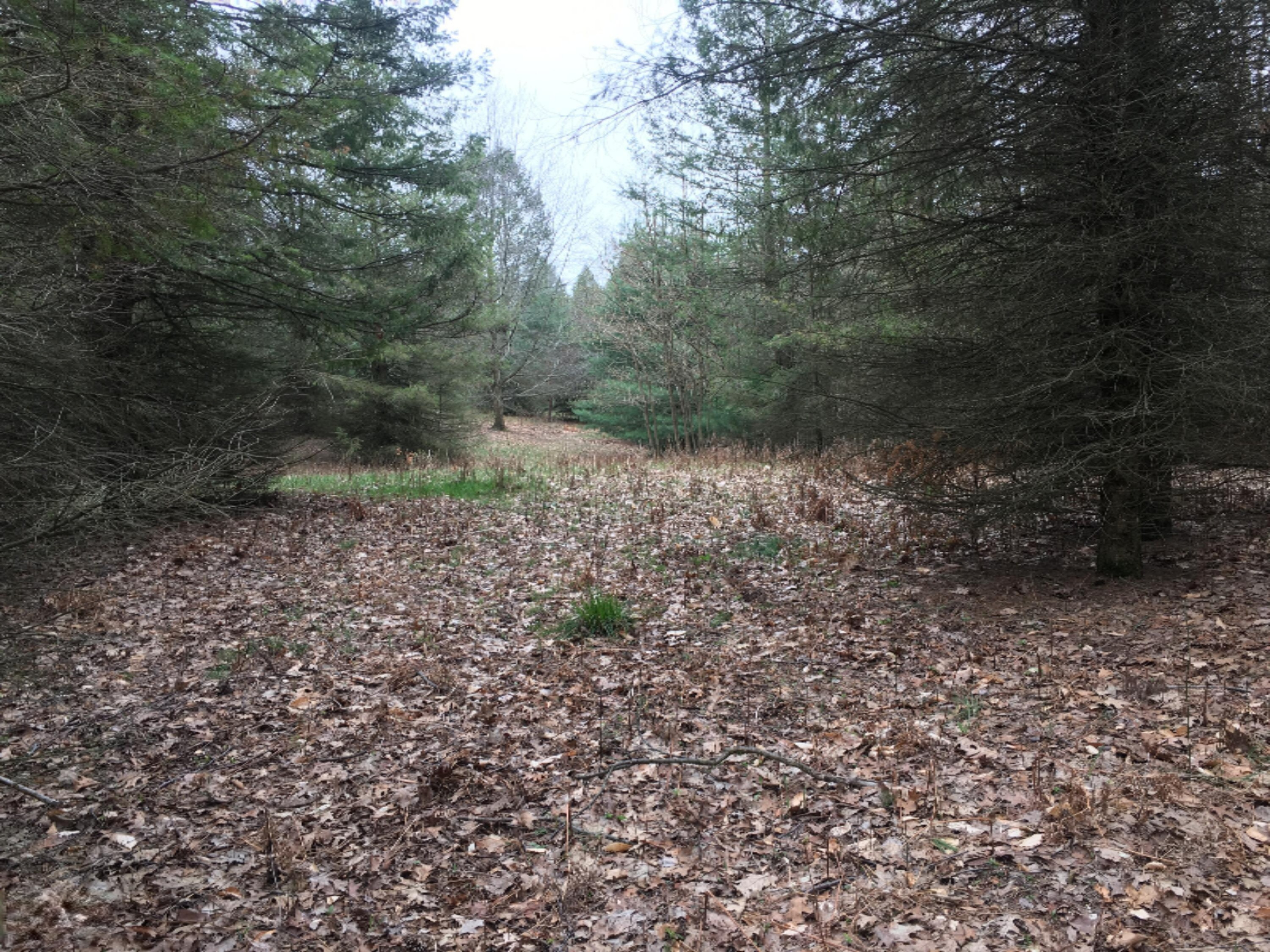 West Deer Road Mears, MI 49436 - Photo 8 of 12 8B0FB158-CA19-4CCC-9B91-AAA6E9F702C9