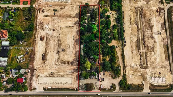 a view of a potted plant next to a road