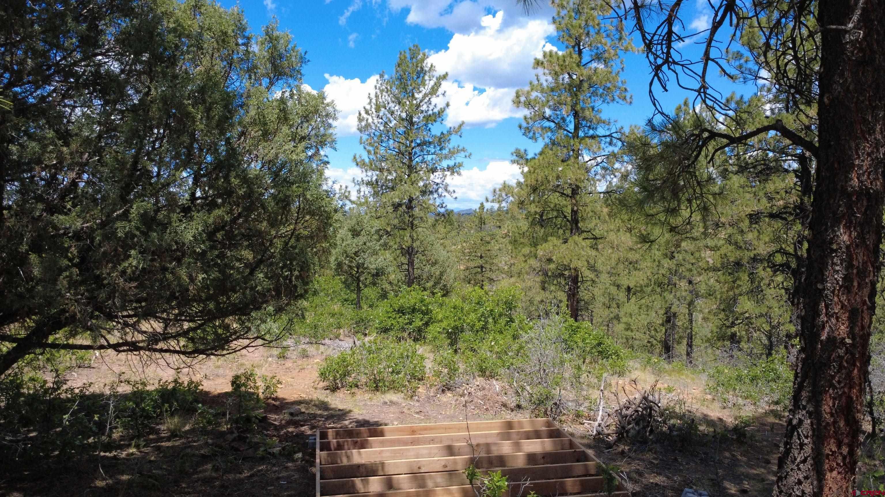 121 Engineer Point Pagosa Springs, CO 81147 - Photo 9 of 43