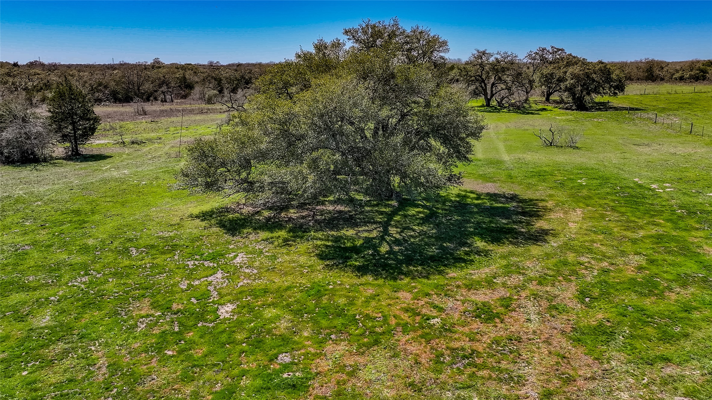 3817 Fm 154 Road Muldoon, TX 78949 - Photo 12 of 27 View of local wilderness featuring a rural view