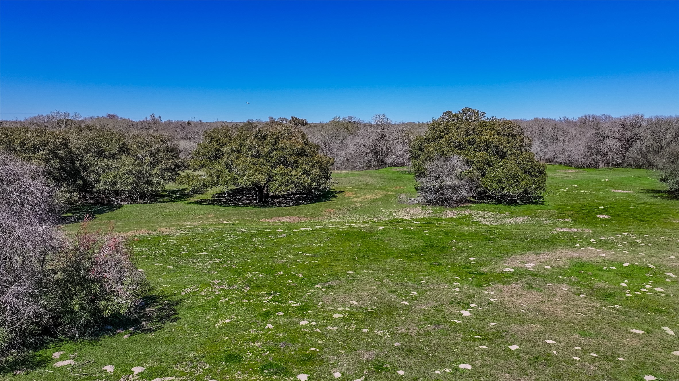 3817 Fm 154 Road Muldoon, TX 78949 - Photo 16 of 27 View of landscape with a view of trees