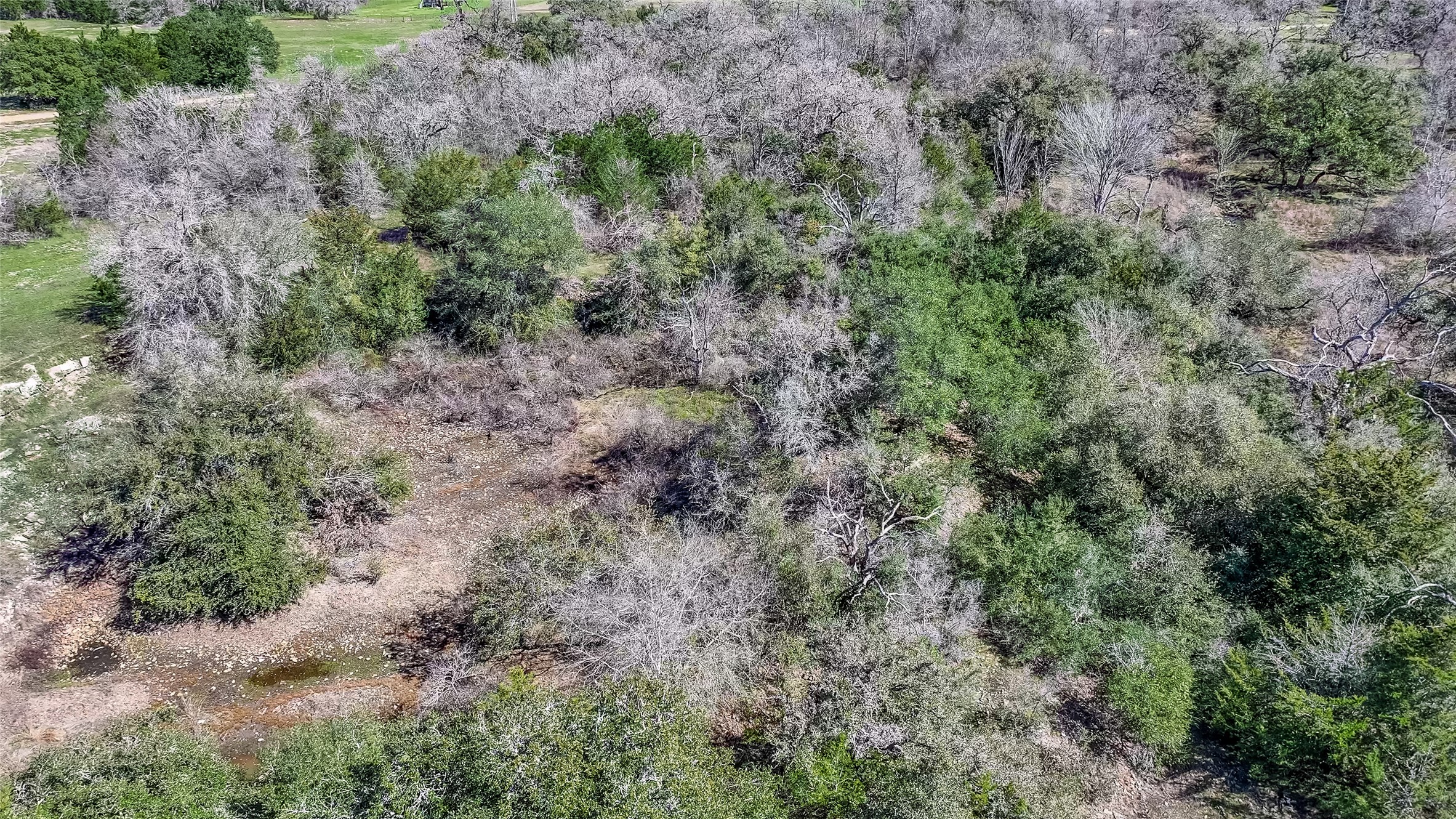 3817 Fm 154 Road Muldoon, TX 78949 - Photo 19 of 27 Birds eye view of property featuring a view of trees
