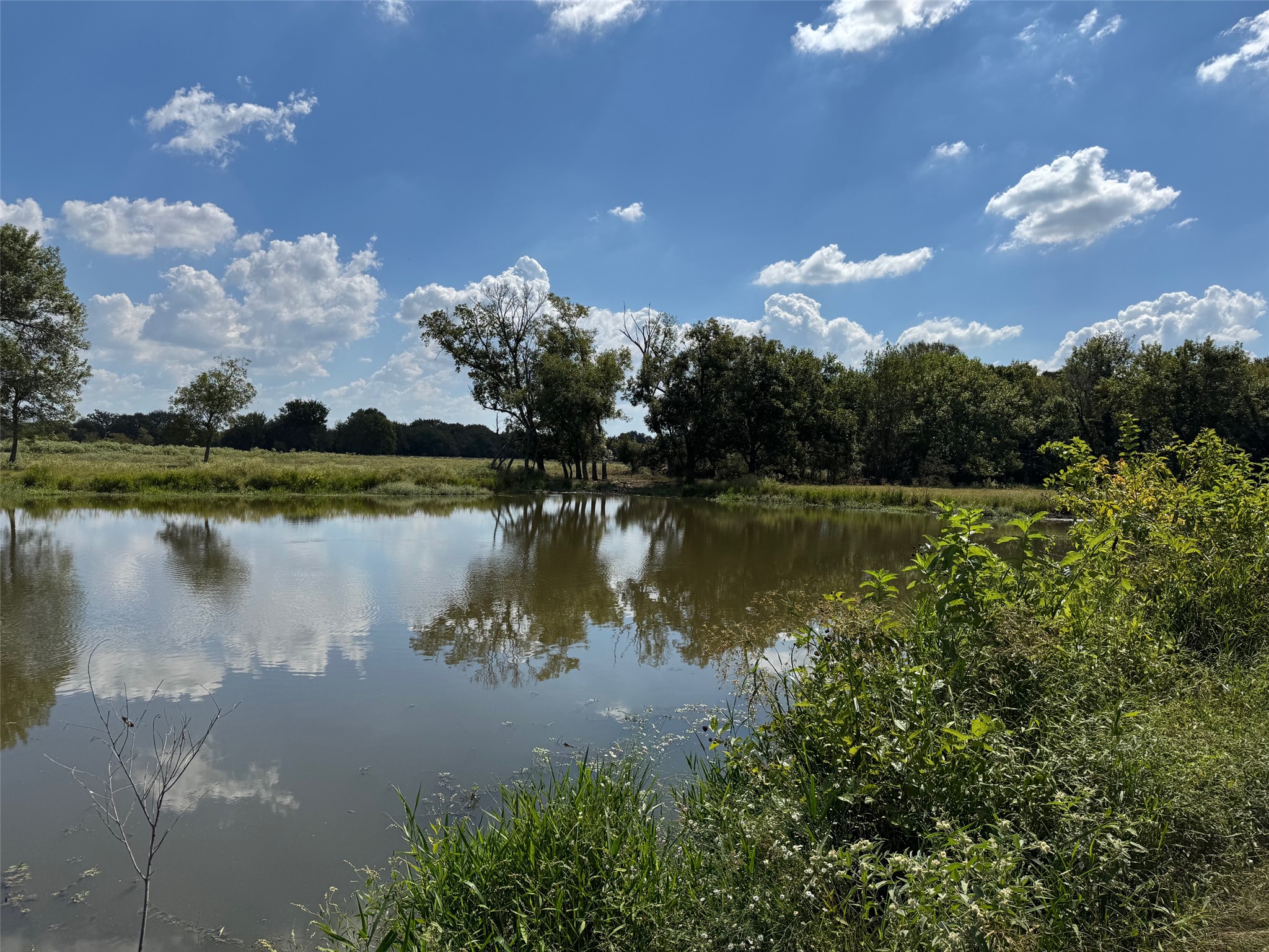 3817 Fm 154 Road Muldoon, TX 78949 - Photo 22 of 27 Water view