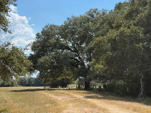 $2,190,898 | 3817 Fm 154 Road, Muldoon, TX 78949