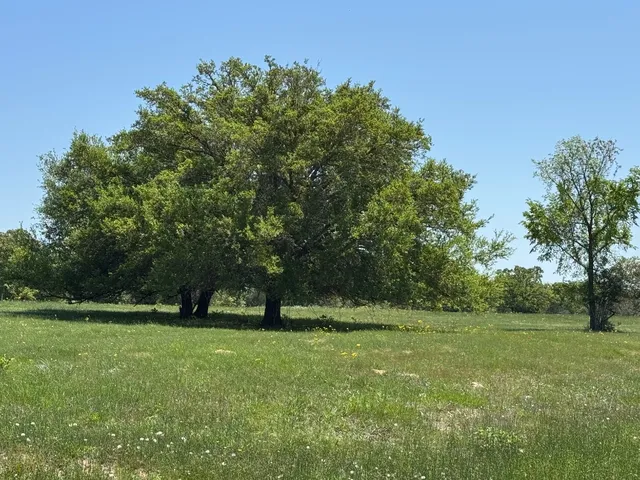 $2,190,898 | 3817 Fm 154 Road, Muldoon, TX 78949