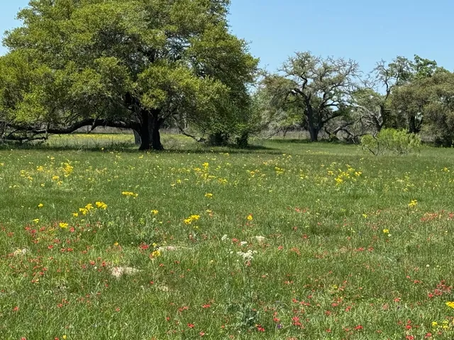 $2,190,898 | 3817 Fm 154 Road, Muldoon, TX 78949