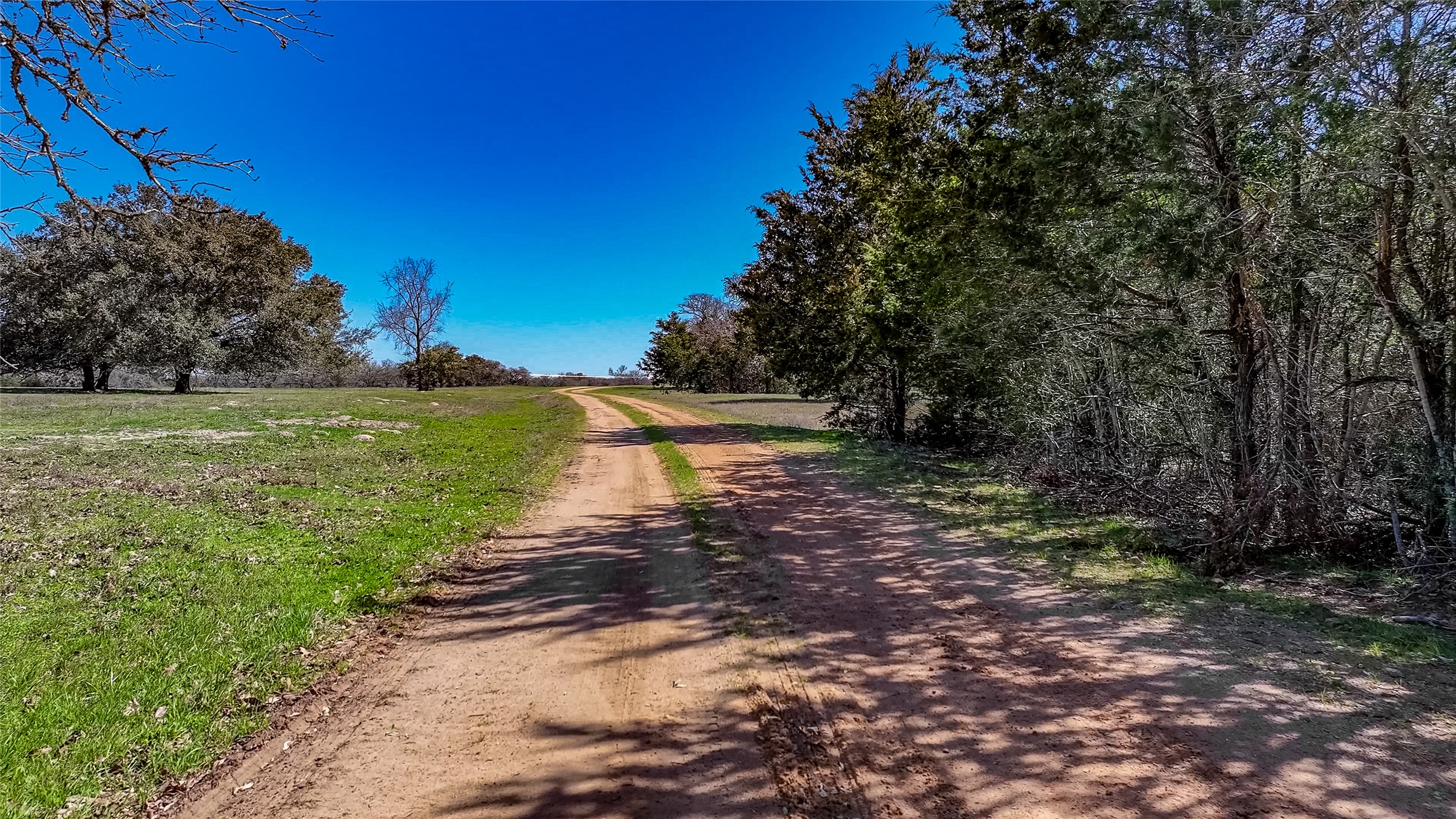 3817 Fm 154 Road Muldoon, TX 78949 - Photo 6 of 27 View of street featuring dirt driveway