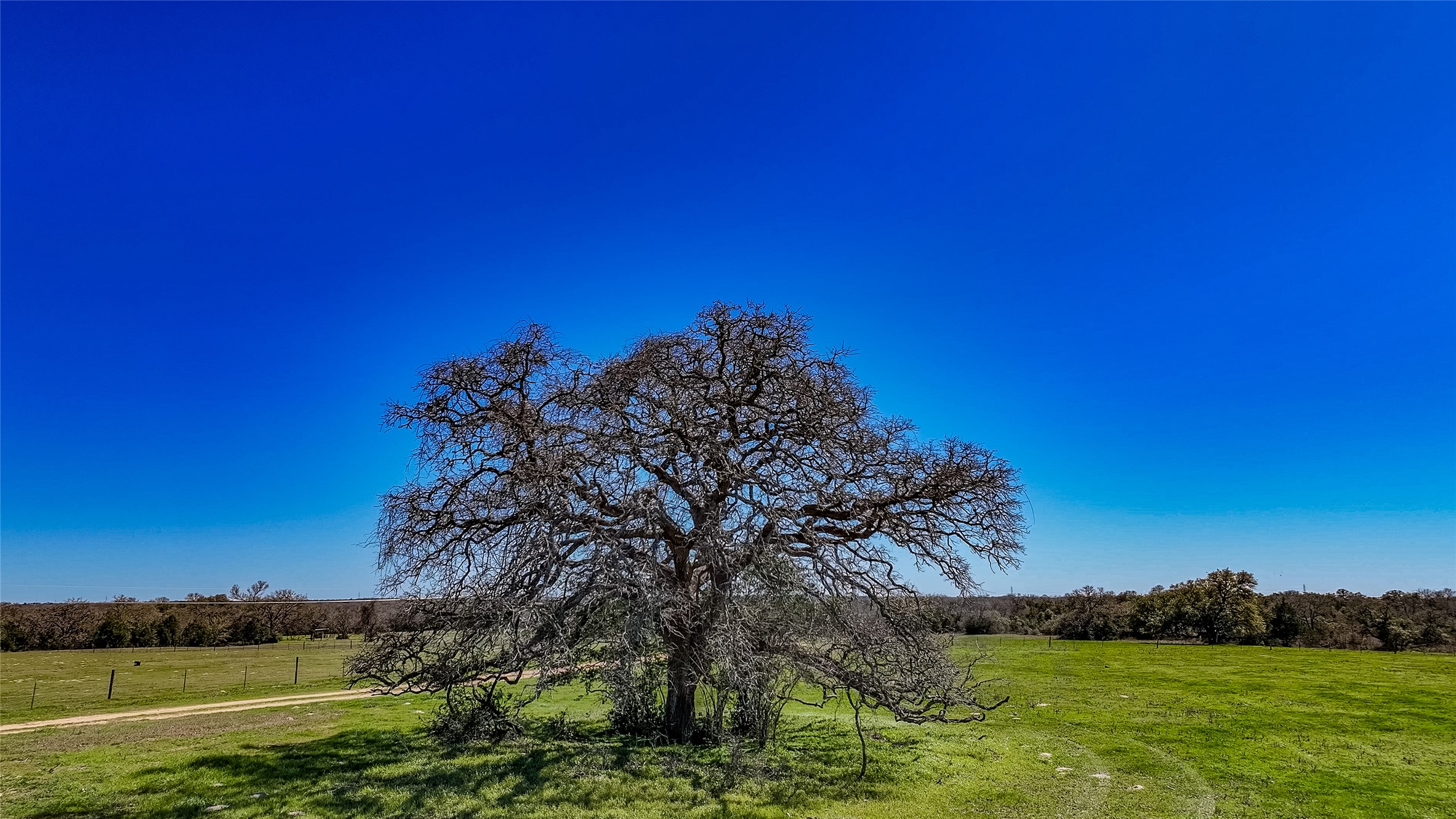 3817 Fm 154 Road Muldoon, TX 78949 - Photo 7 of 27 View of nature with a rural view
