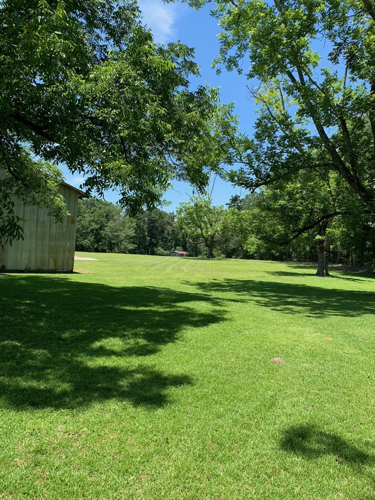 0 South Co Road Ashford, AL 36312 - Photo 4 of 16