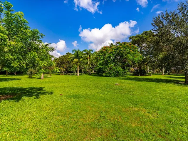 a view of a park with large trees