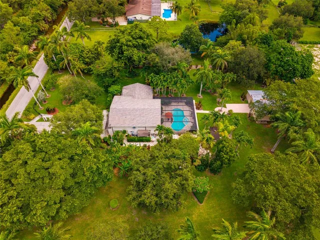 a bird view of a garden