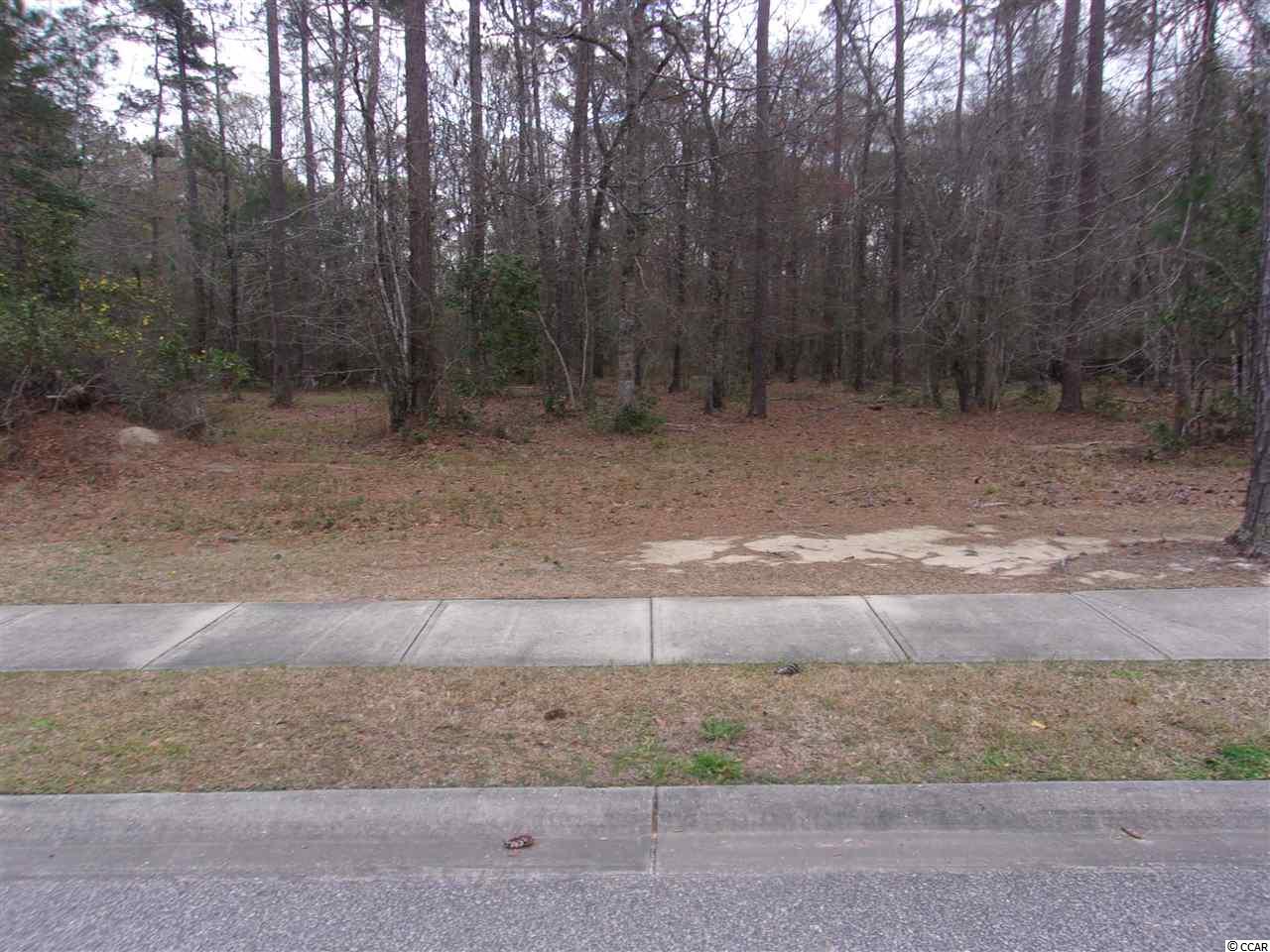 Lot 5 Chamberlin Road Myrtle Beach, SC 29588 - Photo 1 of 14 Gallery Image 1