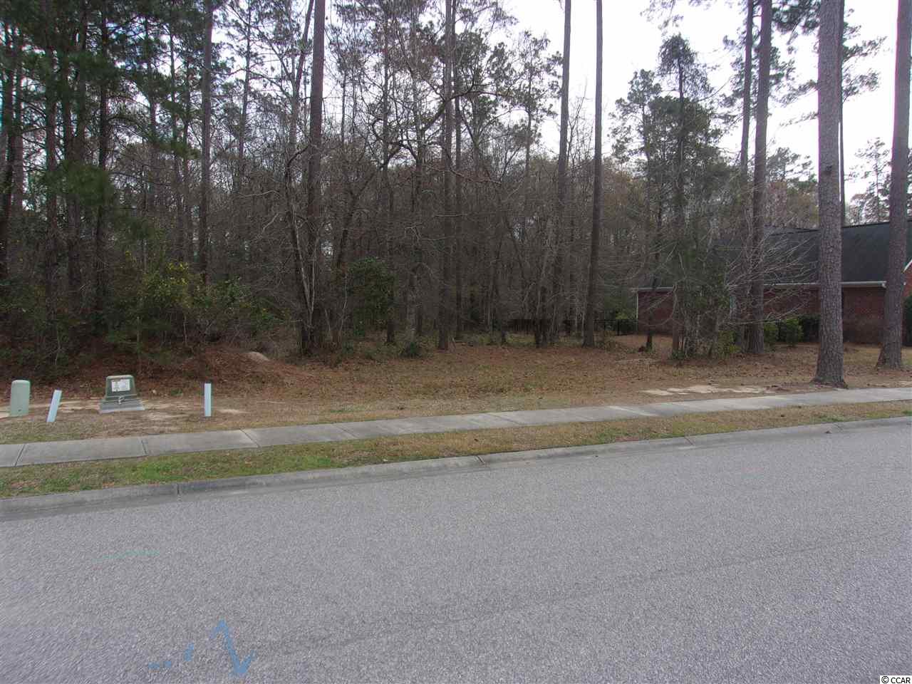 Lot 5 Chamberlin Road Myrtle Beach, SC 29588 - Photo 2 of 14 Gallery Image 2