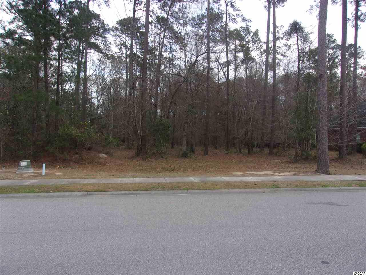 Lot 5 Chamberlin Road Myrtle Beach, SC 29588 - Photo 3 of 14 Gallery Image 3