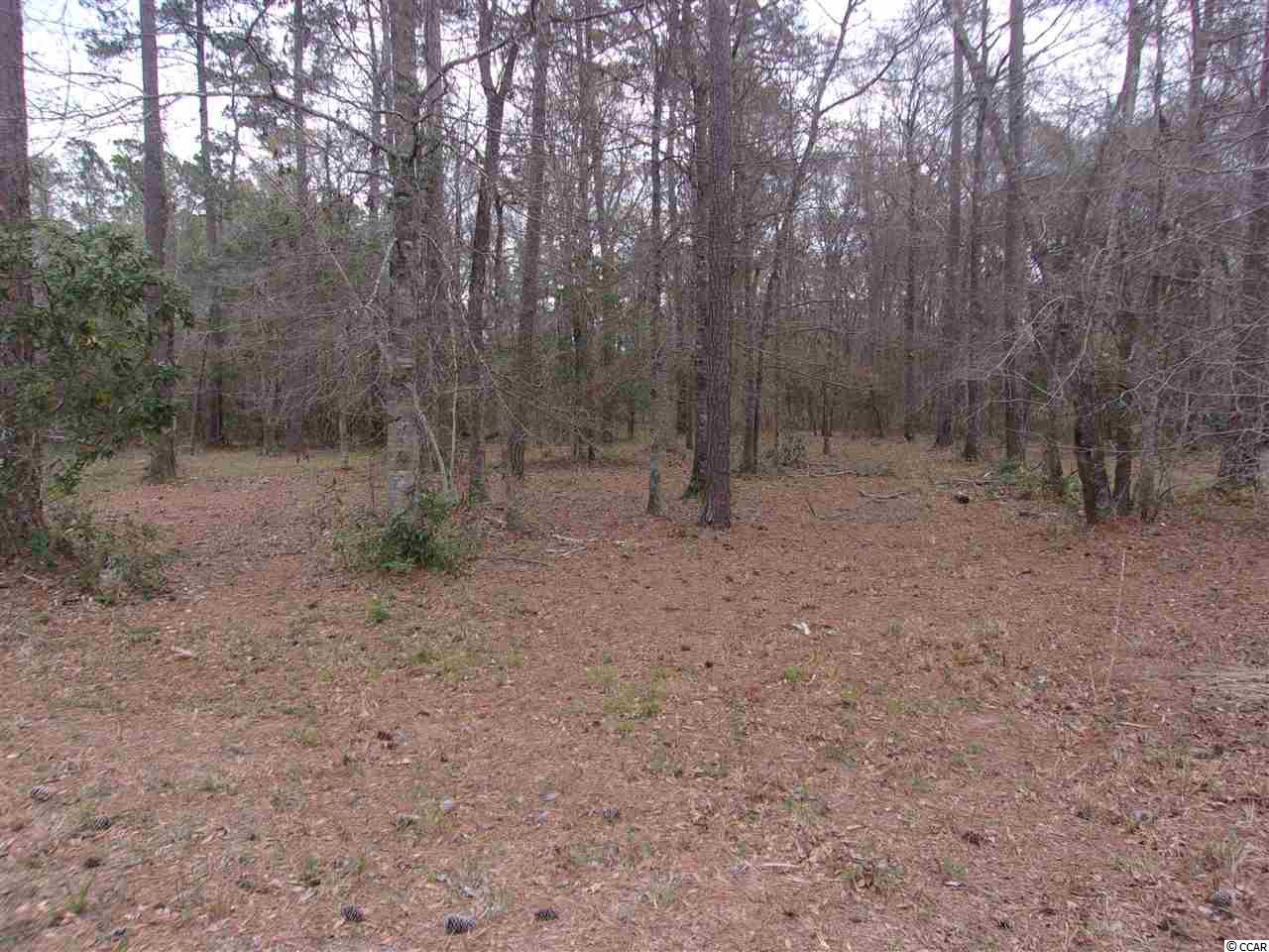 Lot 5 Chamberlin Road Myrtle Beach, SC 29588 - Photo 4 of 14 Gallery Image 4