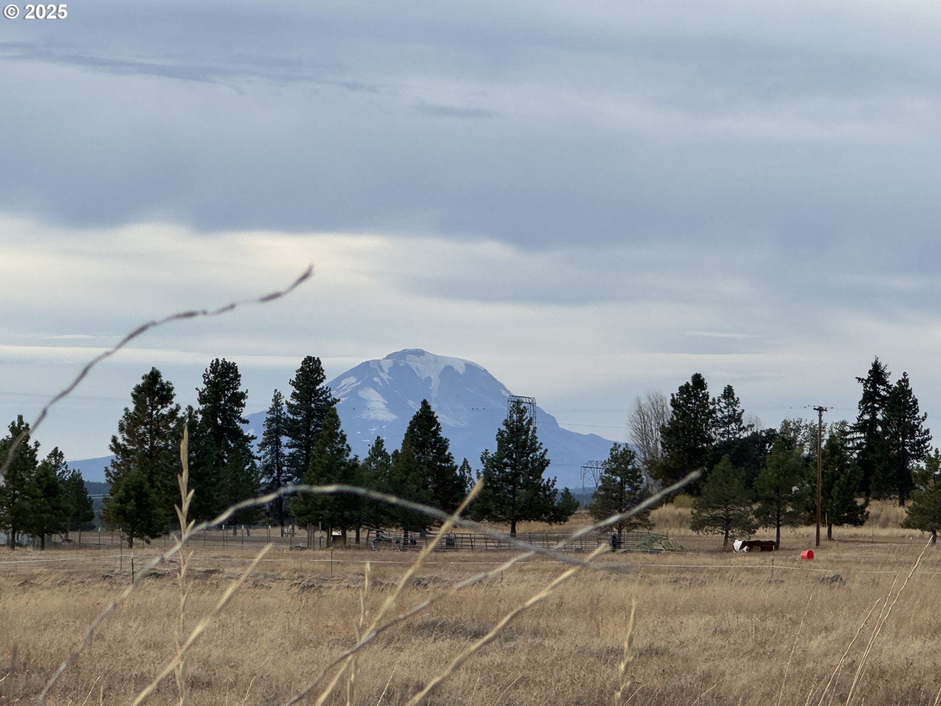 Harris Road, Unit 2 Goldendale, WA 98620 - Photo 1 of 22 a view of outdoor space with trees around