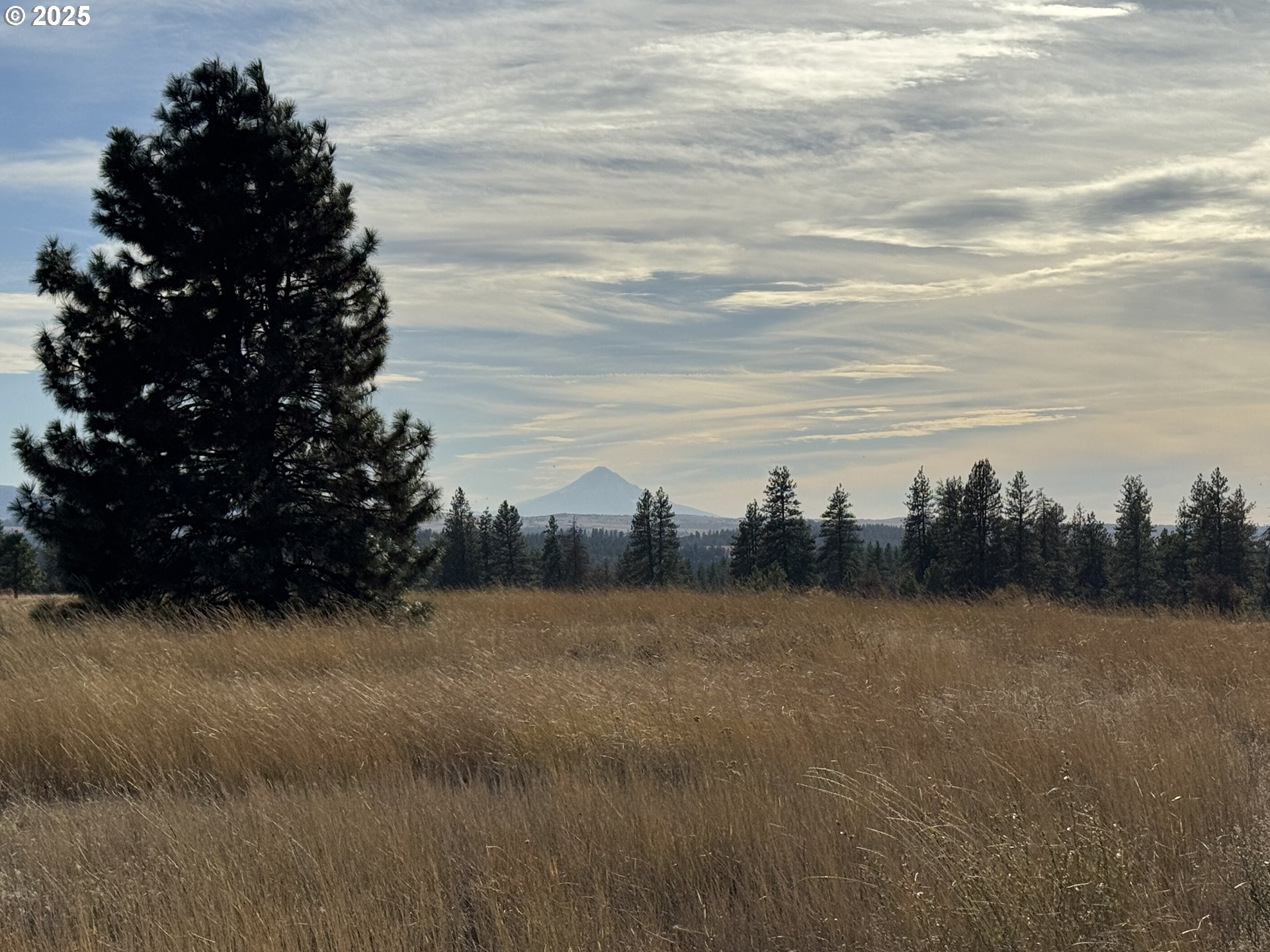 Harris Road, Unit 2 Goldendale, WA 98620 - Photo 2 of 22 a view of a large body of water with a tree in the background
